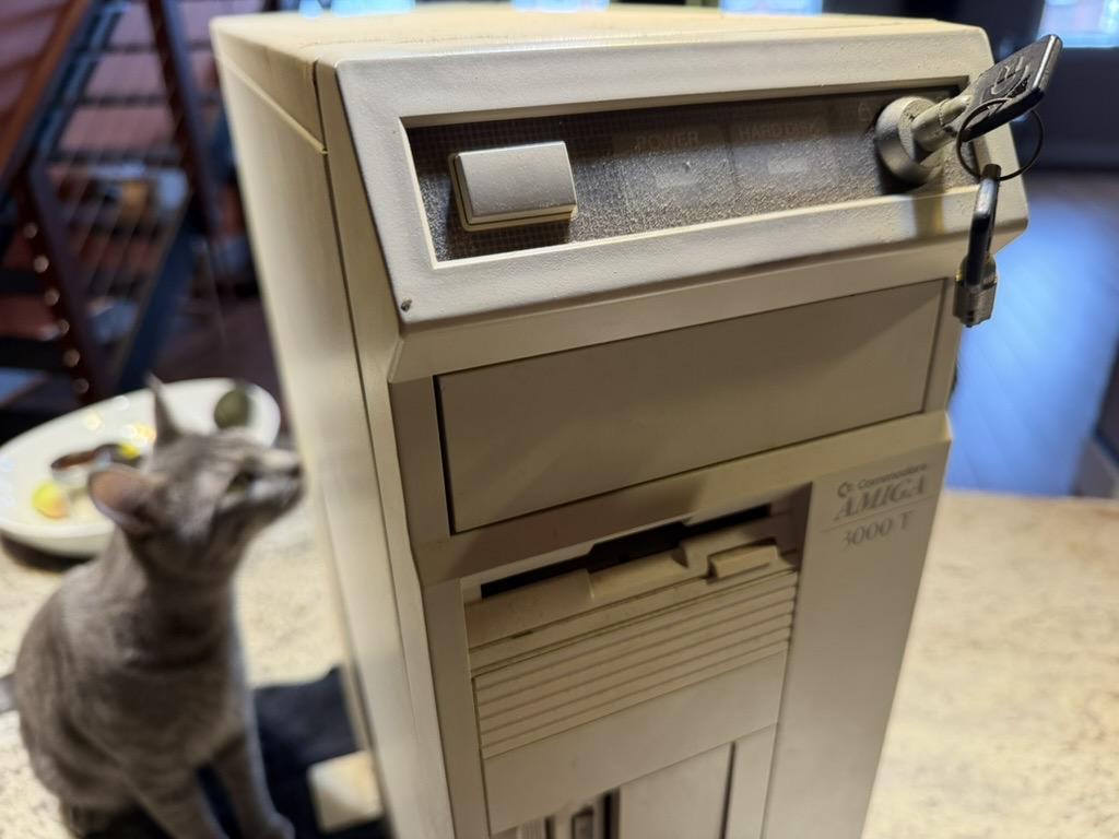 A picture of the front top third of an Amiga 3000T. The power buttons, various lights and key for locking and resetting the machine are visible through a significant layer of old dust. The floppy drive opening is visible. There is a gray tabby cat in the background giving the side of the computer a skeptical sniff.